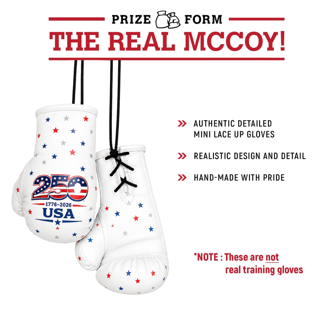 USA 250th Anniversary Mini Boxing Gloves & Keychain Set, Patriotic Boxing Gift