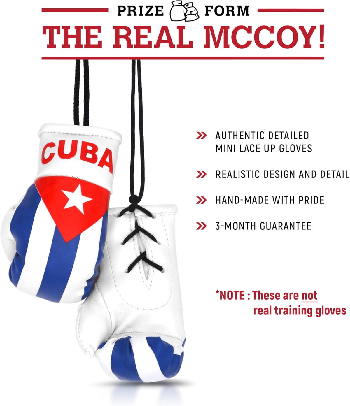 Mini Boxing Gloves & Keychain Set