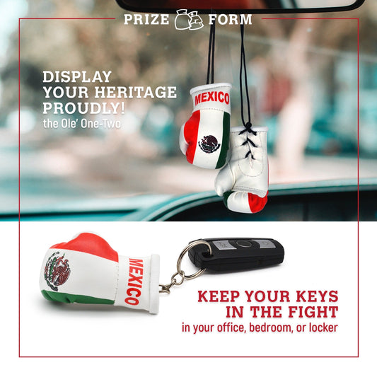 PRIZE FORM Mexico mini boxing gloves lifestyle display