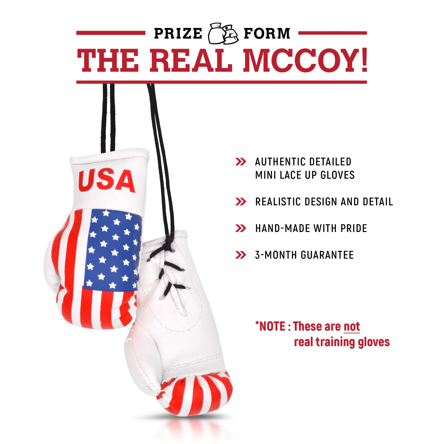 Mini Boxing Gloves & Keychain Set