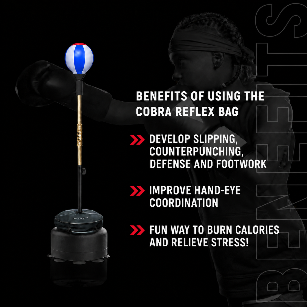 Cobra Reflex Bag for speed, timing, accuracy and reaction training